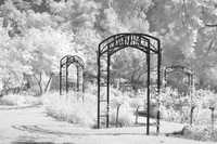 McKinley Park, Infrared 1