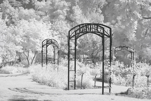 McKinley Park, Infrared 1