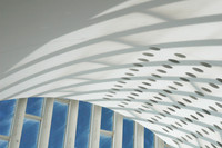 Blue & White