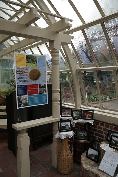 Children’s Photography Exhibition at Luther Burbank Home & Garden