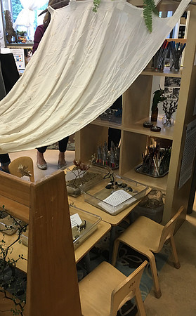 Opal School Summer Symposium