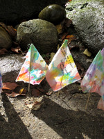 More Than a Playground Symposium