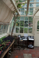 Children’s Photography Exhibition at Luther Burbank Home & Garden