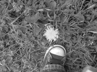 Photography with Preschoolers