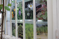 Children’s Photography Exhibition at Luther Burbank Home & Garden