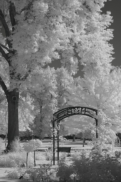 McKinley Park, Infrared 3